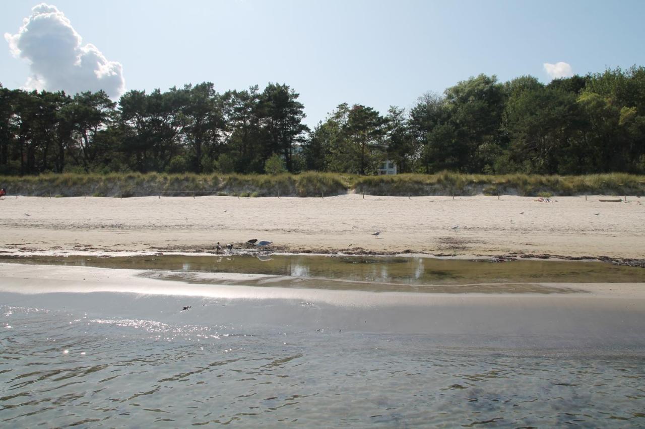 Bruchbude Mit Meerblick Binz Exterior photo